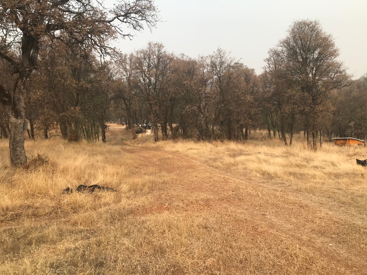 12463 wolf road Grass valley California 95949
